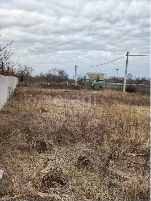 Участок в Белгородская область, Белгородский район, Краснооктябрьское ... - Фото 0