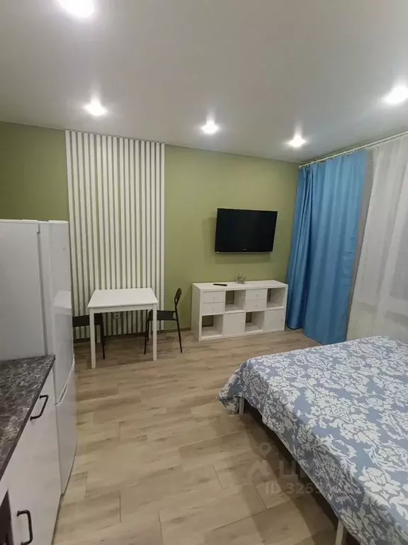 Студия Санкт-Петербург дор. Торфяная, 13 (25.0 м) - Фото 2