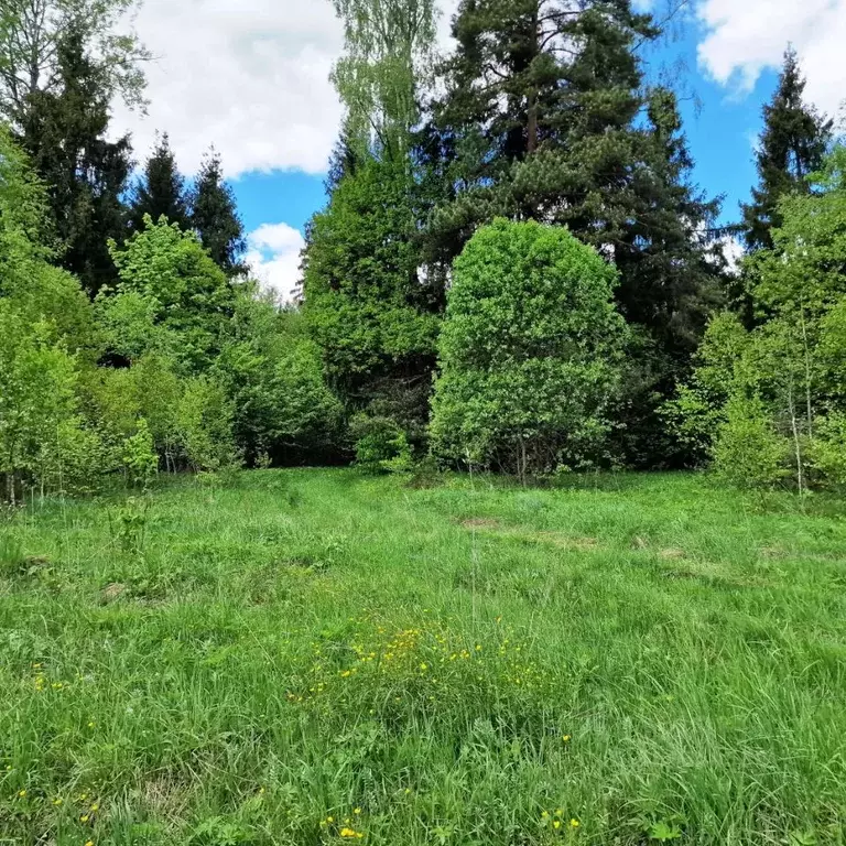 Участок в Калужская область, Совхоз Боровский с/пос, д. Сороковеть  ... - Фото 2