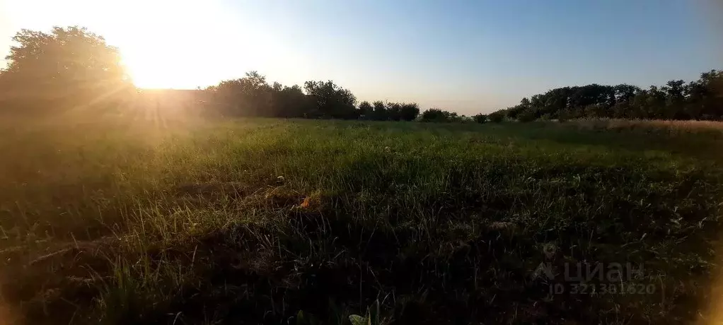 Участок в Краснодарский край, Северский район, Новодмитриевское с/пос, ... - Фото 1