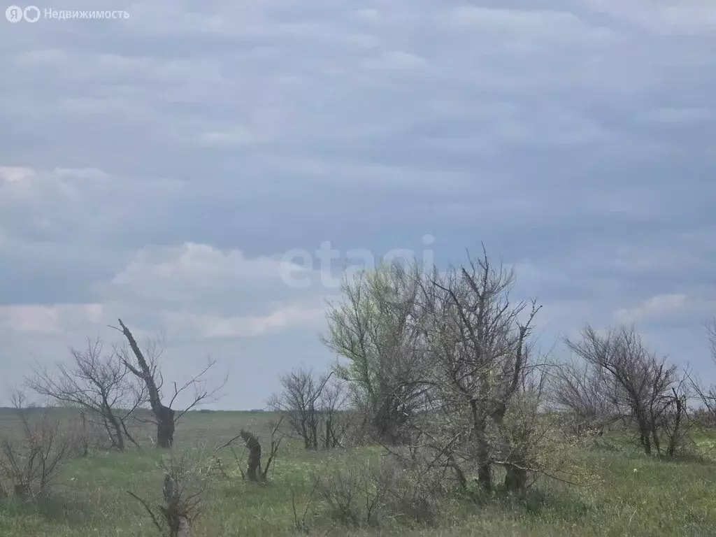 Участок в Каменское, Крымский переулок (6 м) - Фото 2