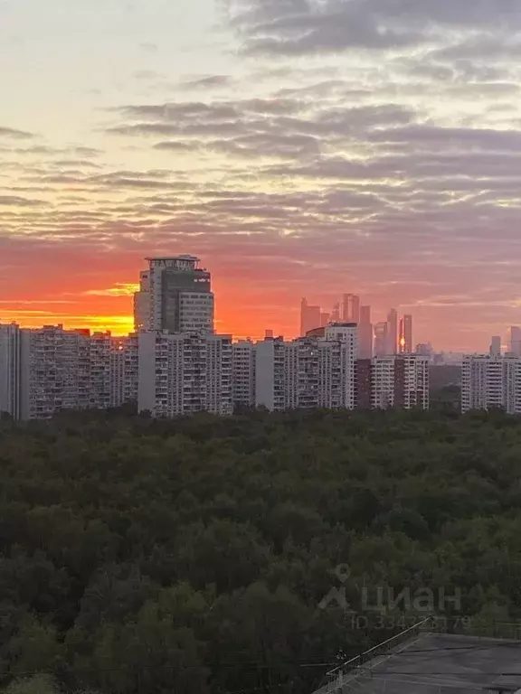 3-к кв. Москва ул. Академика Павлова, 28 (60.7 м) - Фото 1