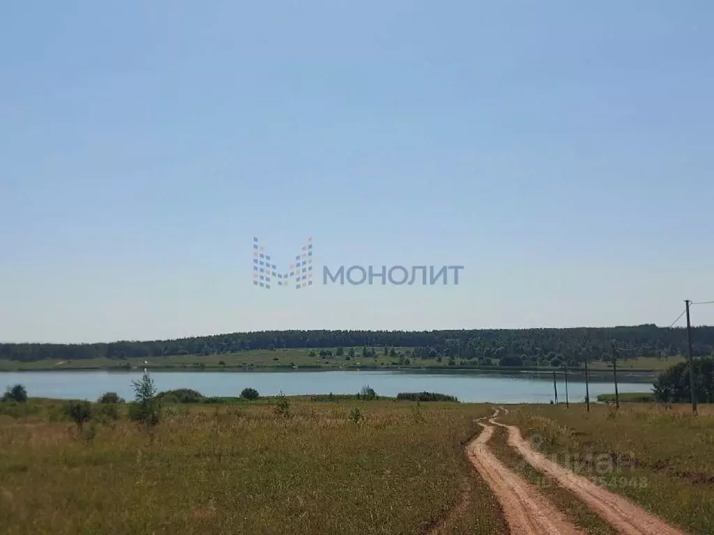 Участок в Нижегородская область, Богородский муниципальный округ, д. ... - Фото 1