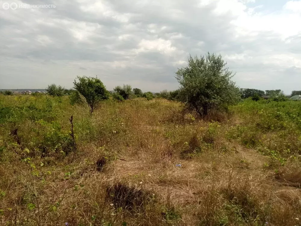 Участок в Краснодарский край, муниципальный округ Анапа, посёлок ... - Фото 2