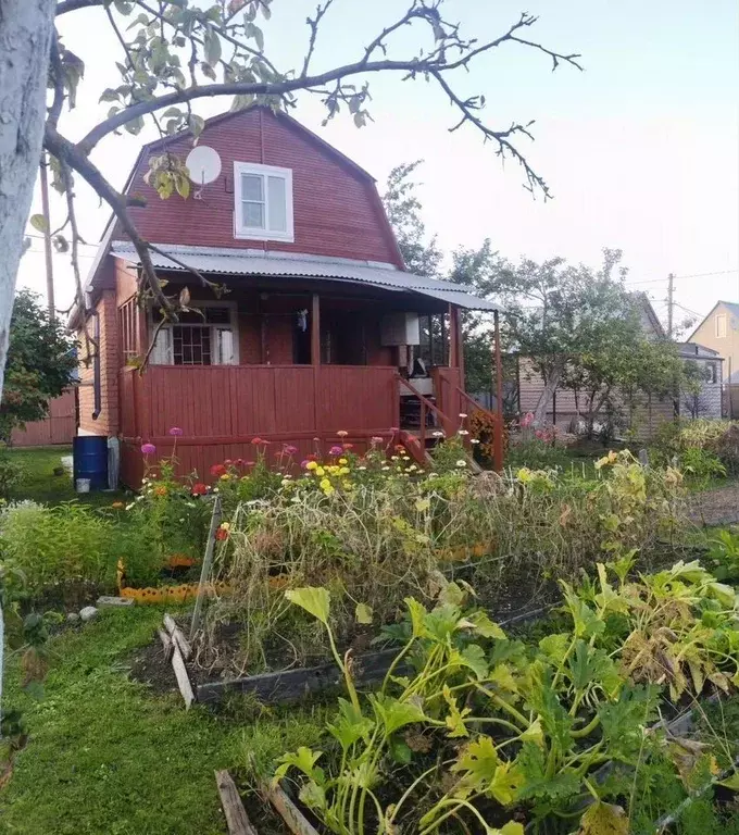 Дом в Московская область, Дубна Репка-2 СНТ,  (45 м) - Фото 1