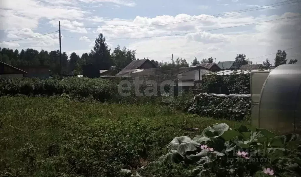 Дом в Забайкальский край, Читинский район, Огонек СНТ 385А (48 м) - Фото 0