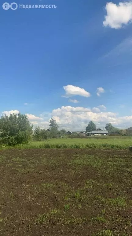 Участок в Наумовский сельсовет, деревня Покровка, Ашкадарская улица ... - Фото 2