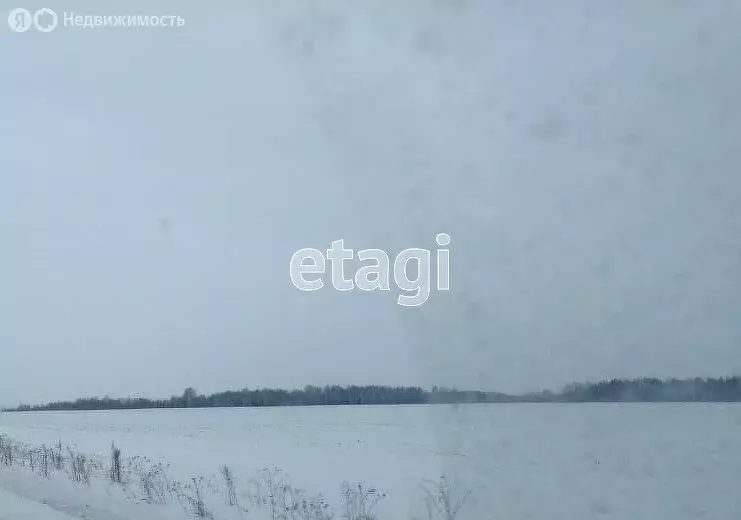 Участок в Курганская область, Шадринский муниципальный округ, село ... - Фото 1
