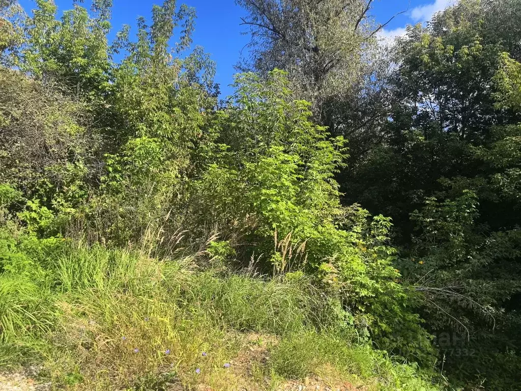 Участок в Московская область, Коломна  (9.01 сот.) - Фото 2