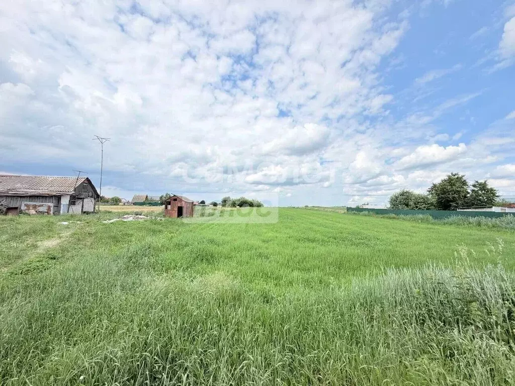 Участок в Липецкая область, Липецкий муниципальный округ, с. ... - Фото 1
