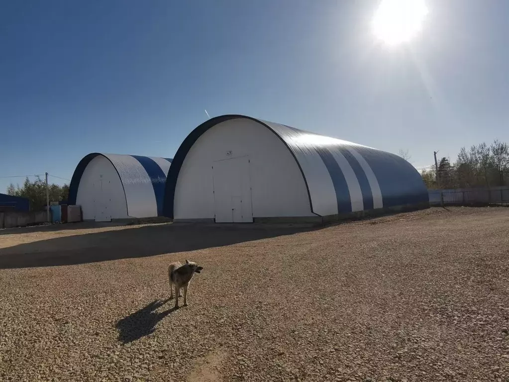 Помещение свободного назначения в Ленинградская область, Гатчинский ... - Фото 2