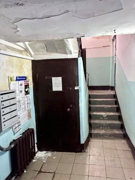 Помещение свободного назначения в Санкт-Петербург просп. Добролюбова, ... - Фото 0