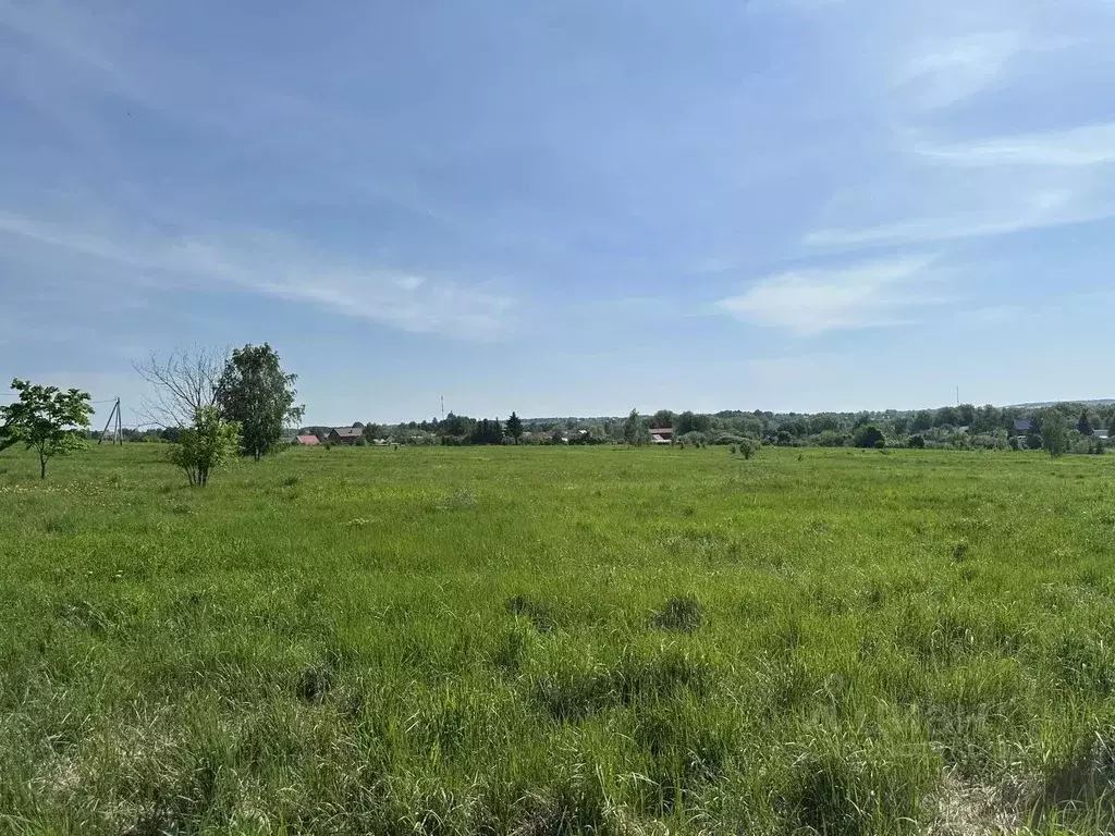 Участок в Московская область, Серебряные Пруды пгт ул. Малая Луговая ... - Фото 1