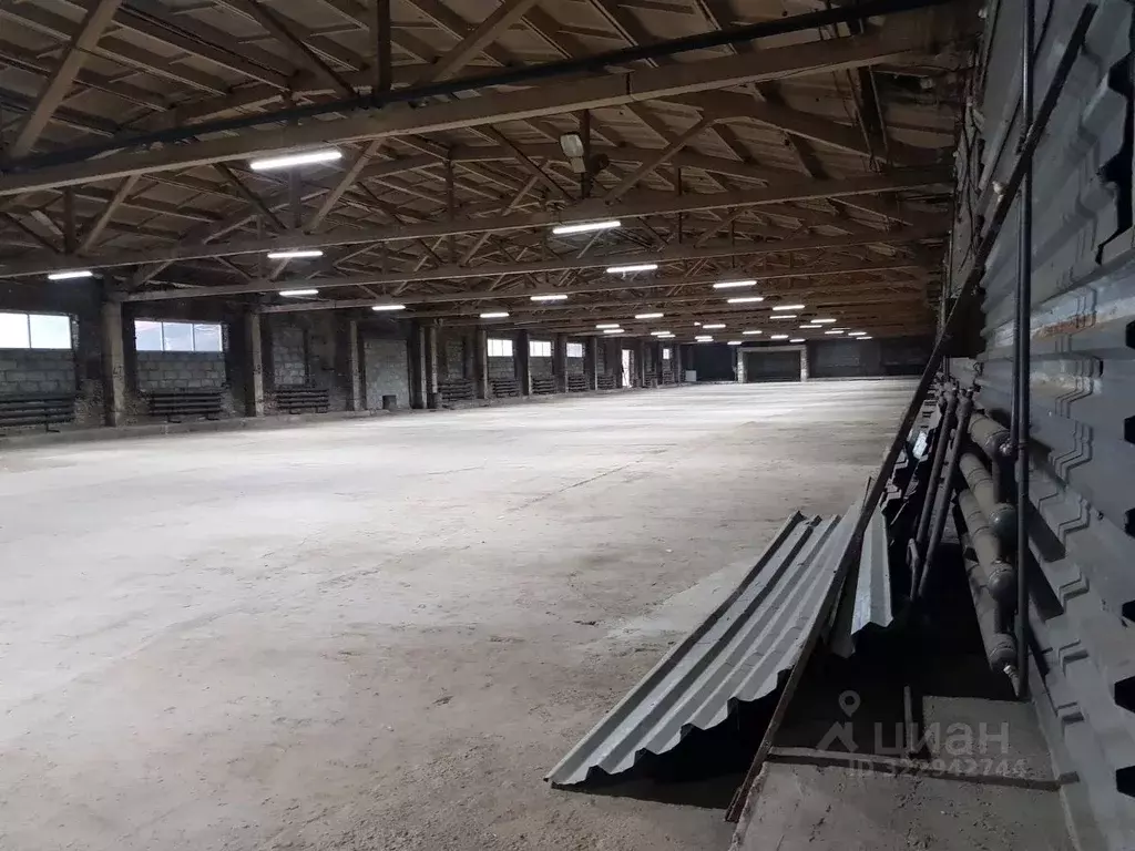 Производственное помещение в Новосибирская область, Новосибирск ... - Фото 1