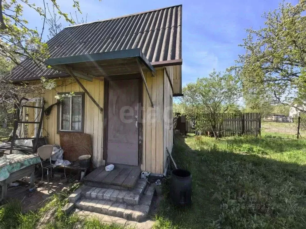 Дом в Брянская область, Брянский район, Снежское с/пос, с. Толмачево, ... - Фото 1