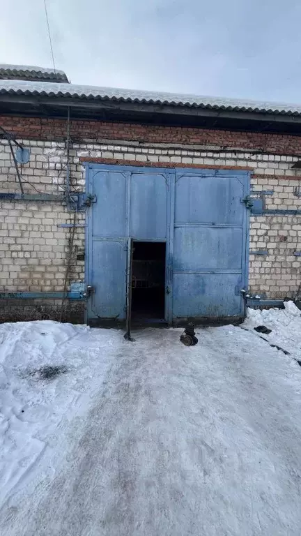 Помещение свободного назначения в Еврейская автономная область, ... - Фото 1