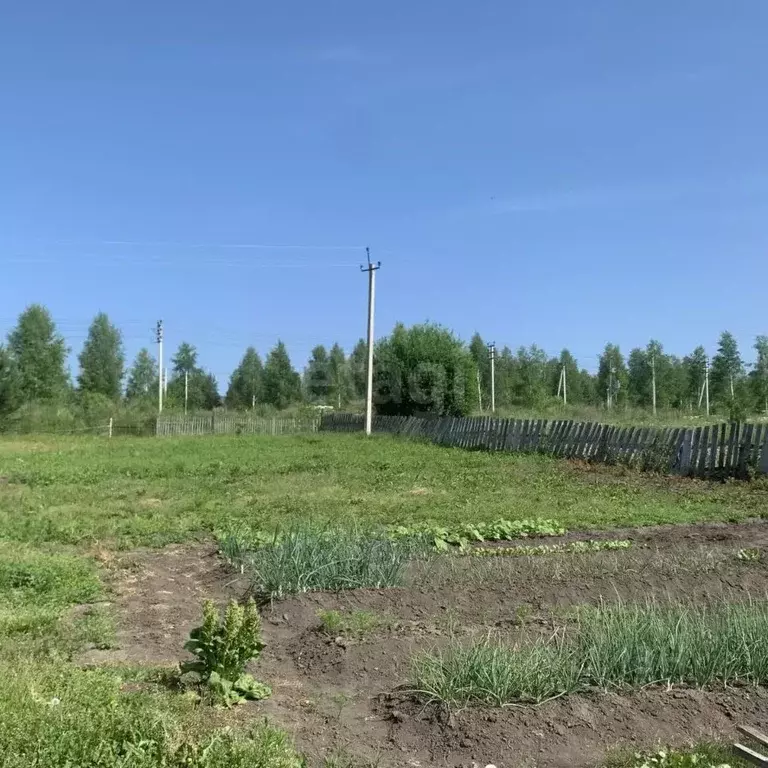 Дом в Кемеровская область, Кемеровский муниципальный округ, д. ... - Фото 1