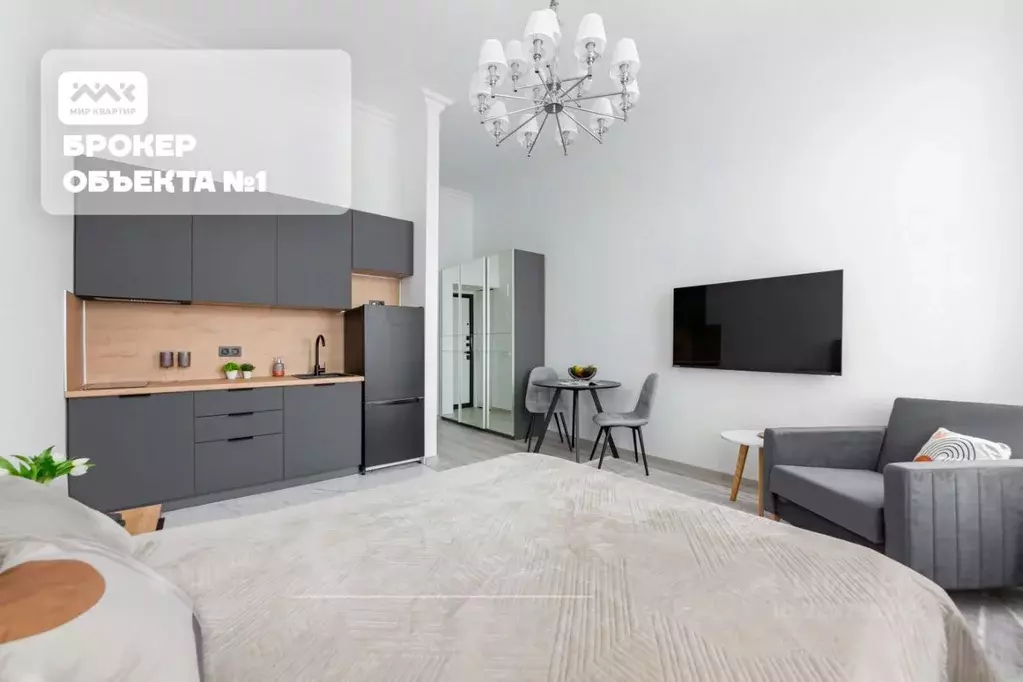 Студия Санкт-Петербург Синопская наб., 72 (27.0 м) - Фото 1