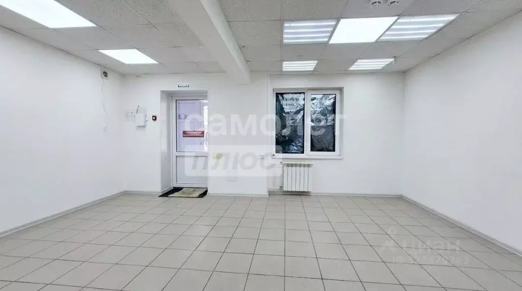 Торговая площадь в Омская область, Омск просп. Королева, 2 (39 м) - Фото 1