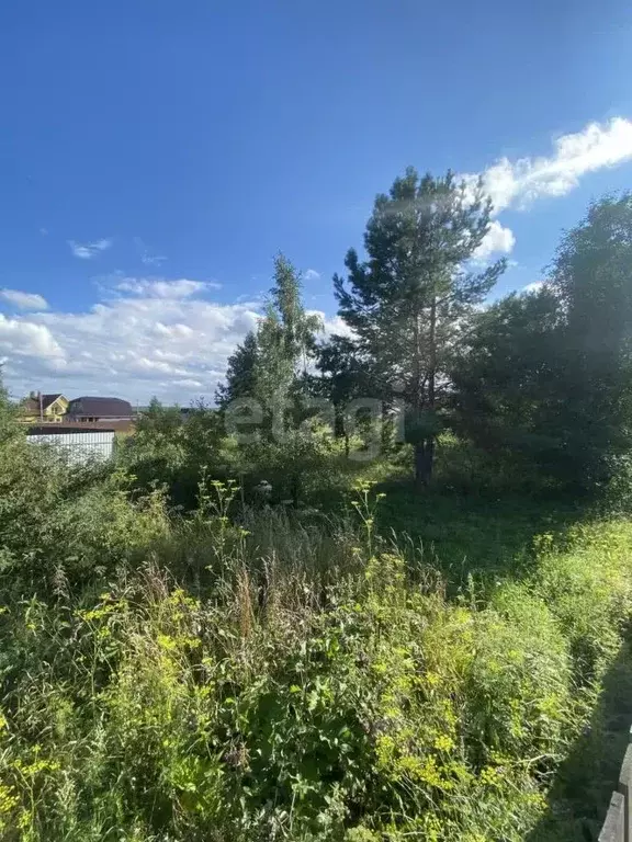 Участок в Свердловская область, Екатеринбург Майский СНТ, 58 (8.0 ... - Фото 1