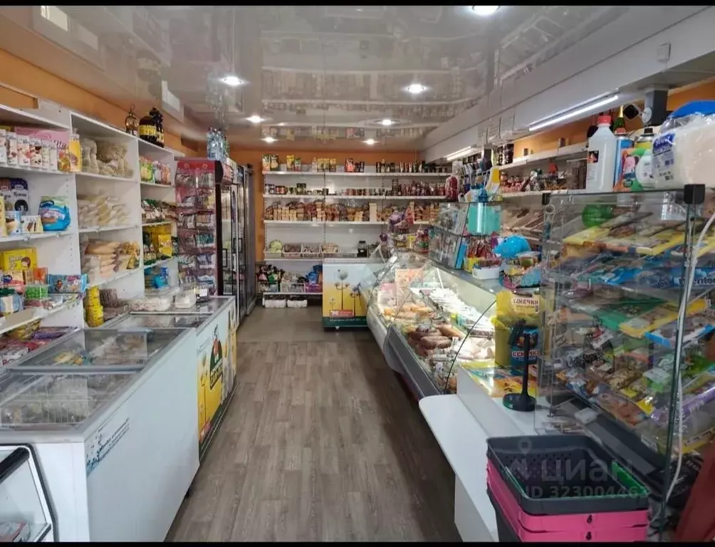 Дом в Оренбургская область, Оренбург с. Краснохолм, ул. России, 93 (70 ... - Фото 2