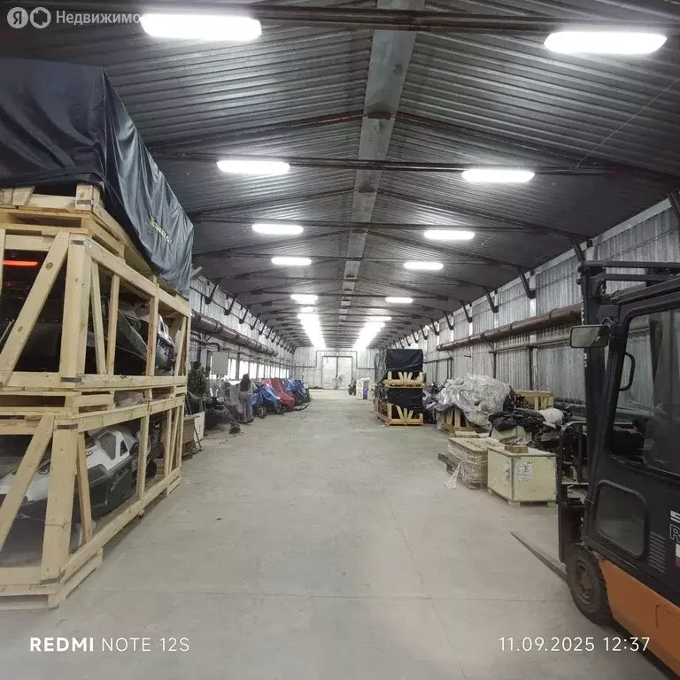 Помещение свободного назначения (800 м) - Фото 2