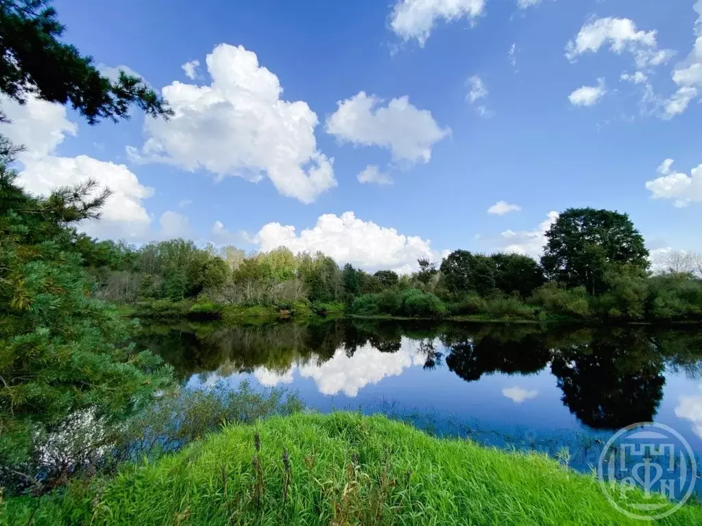 Участок в Псковская область, Гдовский район, с. Чернево  (1160.0 сот.) - Фото 1