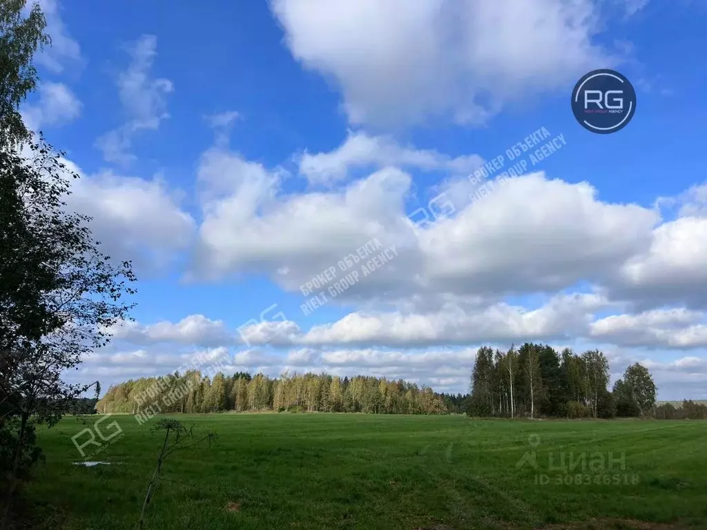 Участок в Ленинградская область, Выборгский район, Полянское с/пос  ... - Фото 0