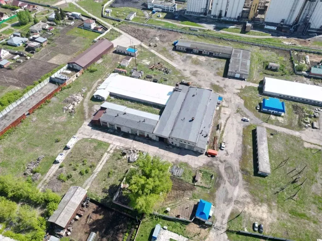 Помещение свободного назначения в Новосибирская область, Коченевский ... - Фото 1