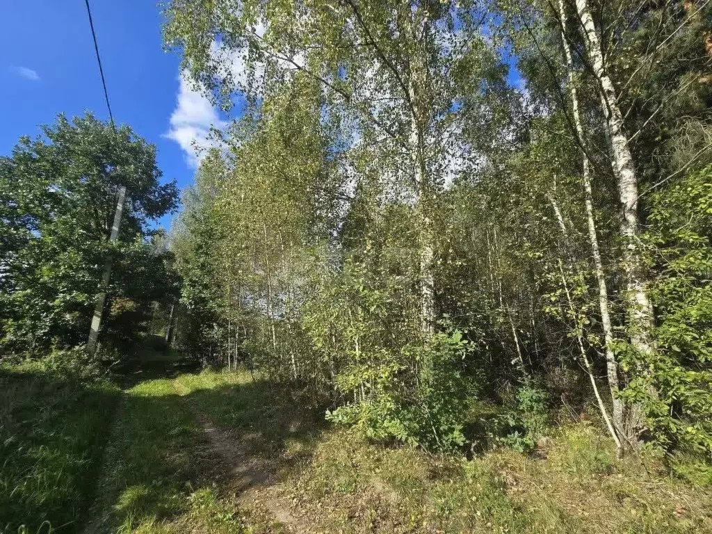 Участок в Калужская область, Дзержинский район, Никольское с/пос, д. ... - Фото 1
