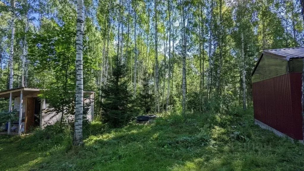 Участок в Калужская область, Дзержинский район, Рудня с/пос, д. ... - Фото 0