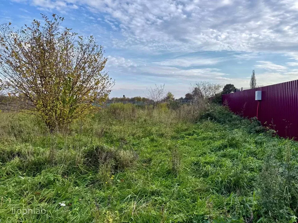 Участок в Калининградская область, Зеленоградский муниципальный округ, ... - Фото 1