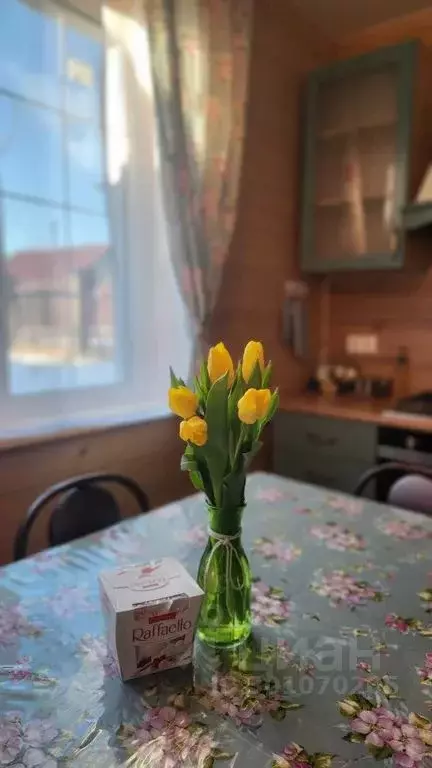 Дом в Ленинградская область, Тосненский район, Шапкинское с/пос, пос. ... - Фото 1