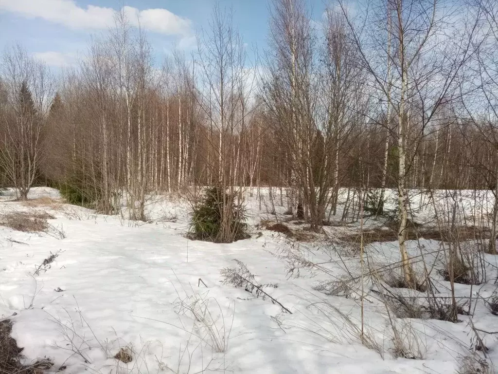 Участок в Костромская область, Красносельский район, Прискоковское ... - Фото 1