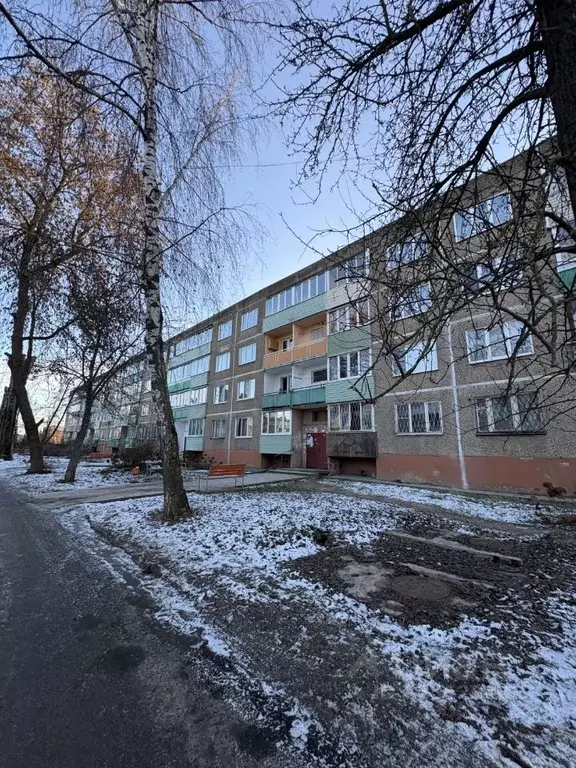 1-к кв. Московская область, Коломна городской округ, с. Черкизово 9 ... - Фото 1