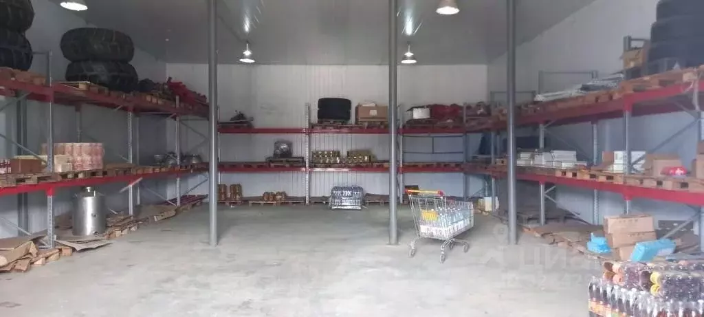 Помещение свободного назначения в Краснодарский край, Динской район, ... - Фото 2