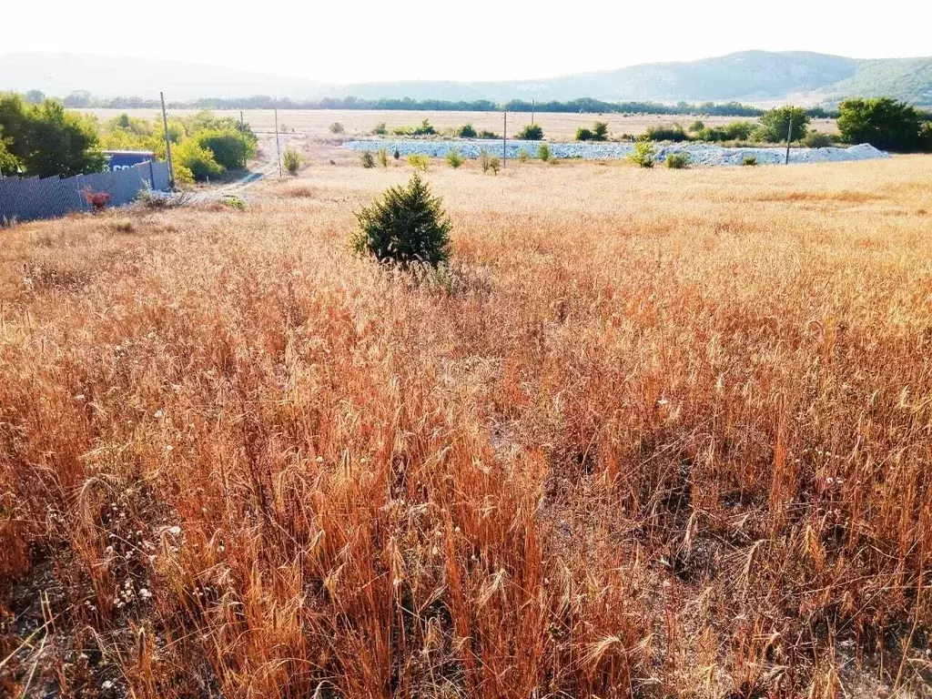 Участок в Крым, Бахчисарайский район, Красномакское с/пос, с. Холмовка ... - Фото 1