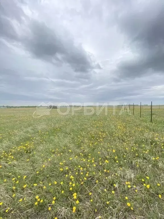 Участок в Тюменская область, Тюмень Грин Парк кп,  (8.5 сот.) - Фото 2