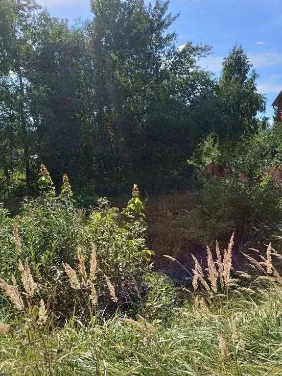 Участок в Московская область, Солнечногорск городской округ, д. Редино ... - Фото 1