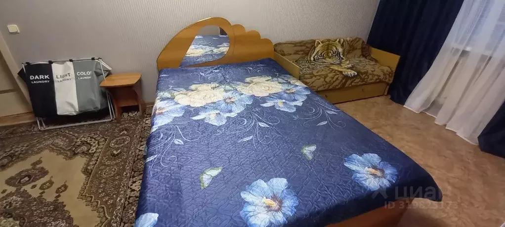 1-к кв. Пензенская область, Пенза ул. Кижеватова, 35 (35.0 м) - Фото 1