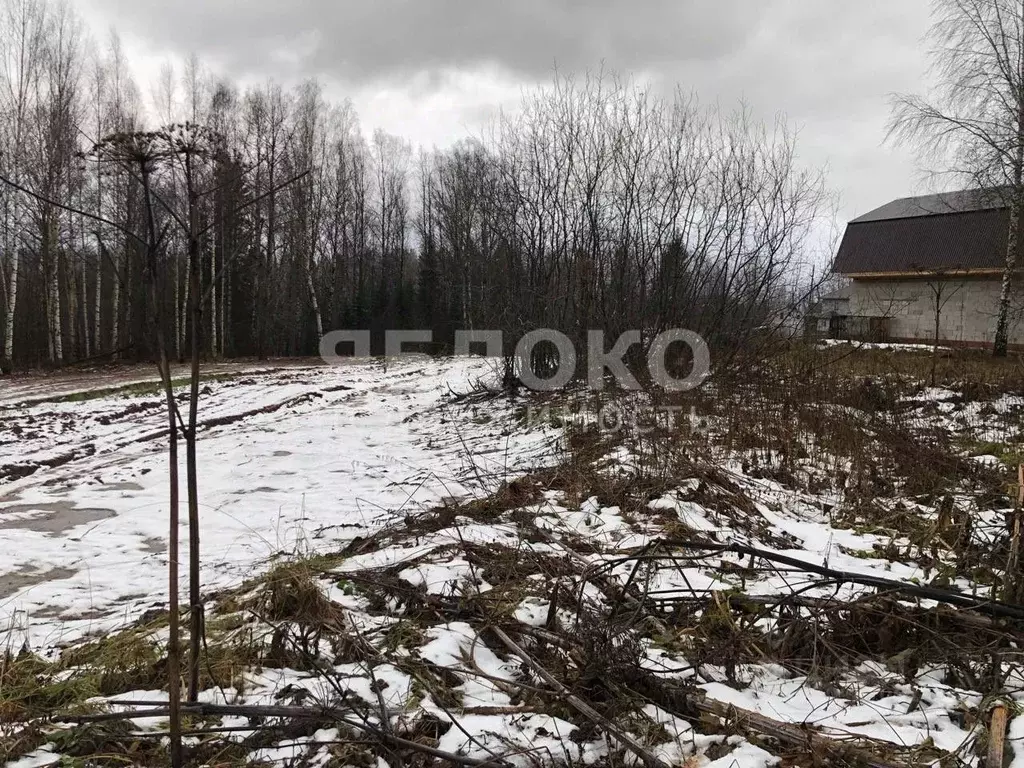 Участок в Пермский край, Березники пос. Новое Суханово,  (14.5 сот.) - Фото 1