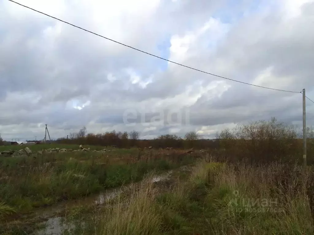 Участок в Вологодская область, Сокольский муниципальный округ, ... - Фото 1