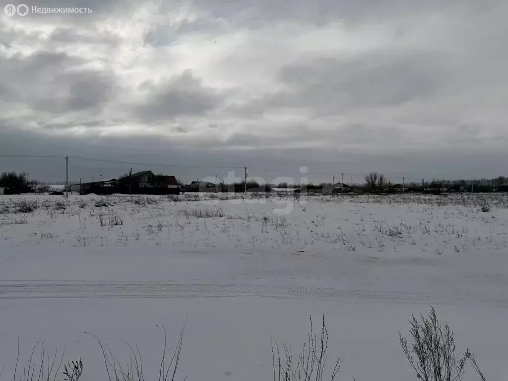 Участок в Новоусманский район, Усманское 1-е сельское поселение, село ... - Фото 2