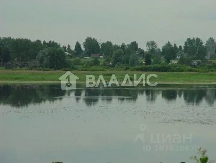 Участок в Нижегородская область, Вадский муниципальный округ, д. ... - Фото 0