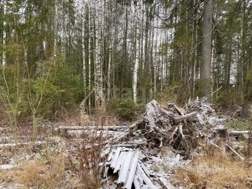 Участок в Коми, Сыктывкар Емваль мкр,  (14.0 сот.) - Фото 2