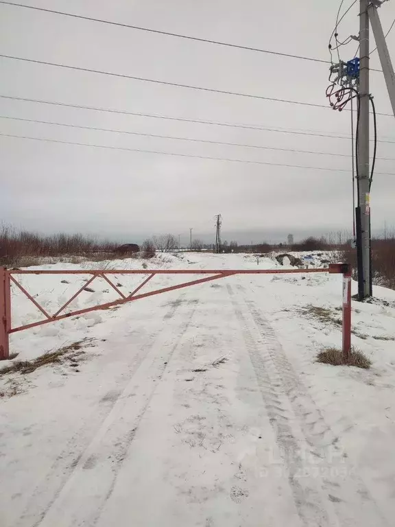 Участок в Ленинградская область, Кировский район, Мгинское городское ... - Фото 1