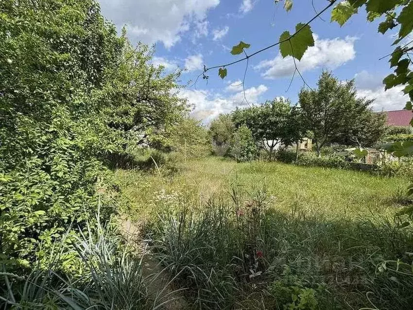 Дом в Белгородская область, Старый Оскол 60 лет Октября СНТ,  (26 м) - Фото 1