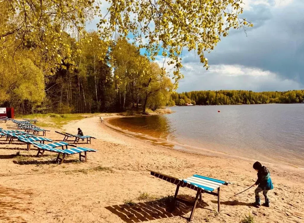 Участок в Московская область, Солнечногорск городской округ, д. ... - Фото 1