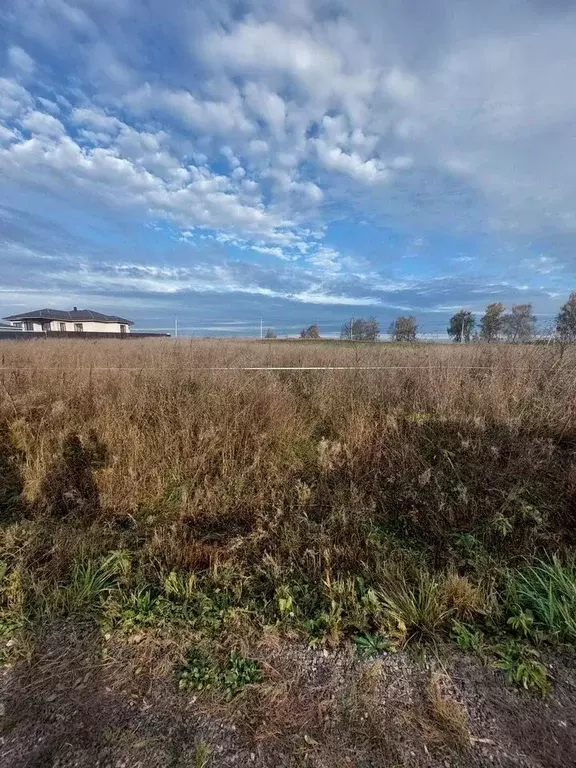 Участок в Московская область, Можайск ул. Лужецкая (12.0 сот.) - Фото 0