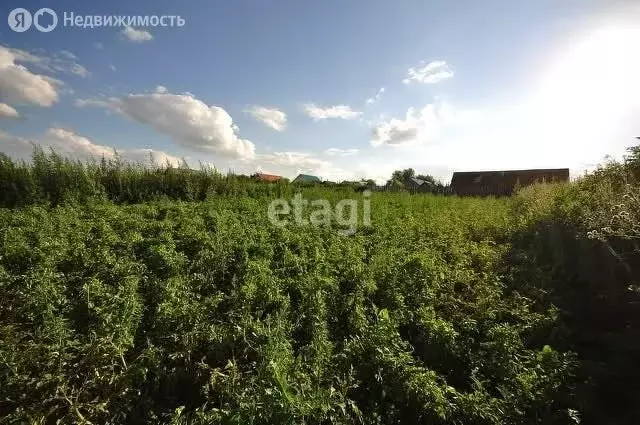 Участок в деревня Сабашево, Колхозная улица (11.8 м) - Фото 0